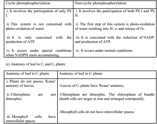 HBSE 11th Class Biology Solutions Chapter 13 Photosynthesis 5