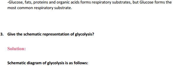 HBSE 11th Class Biology Solutions Chapter 14 Respiration in Plants 3