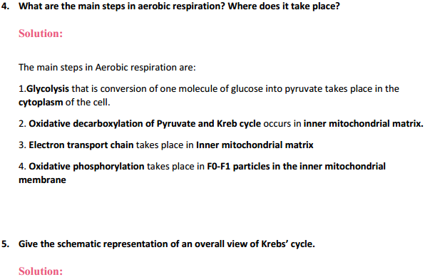 HBSE 11th Class Biology Solutions Chapter 14 Respiration in Plants 5