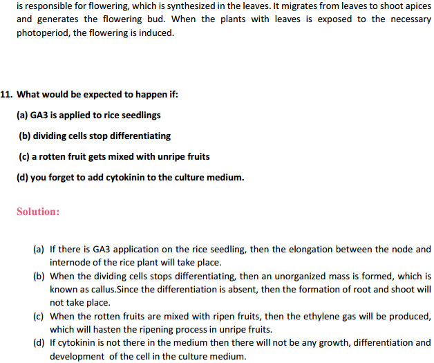 HBSE 11th Class Biology Solutions Chapter 15 Plant Growth and Development 8