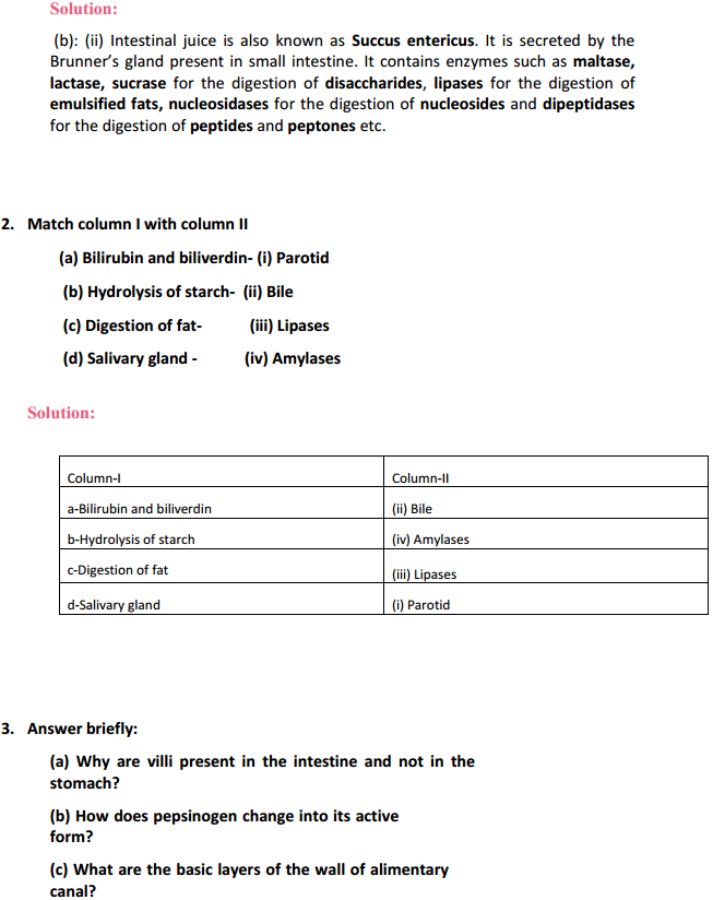 HBSE 11th Class Biology Solutions Chapter 16 Digestion and Absorption 2