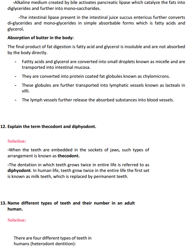 HBSE 11th Class Biology Solutions Chapter 16 Digestion and Absorption 8