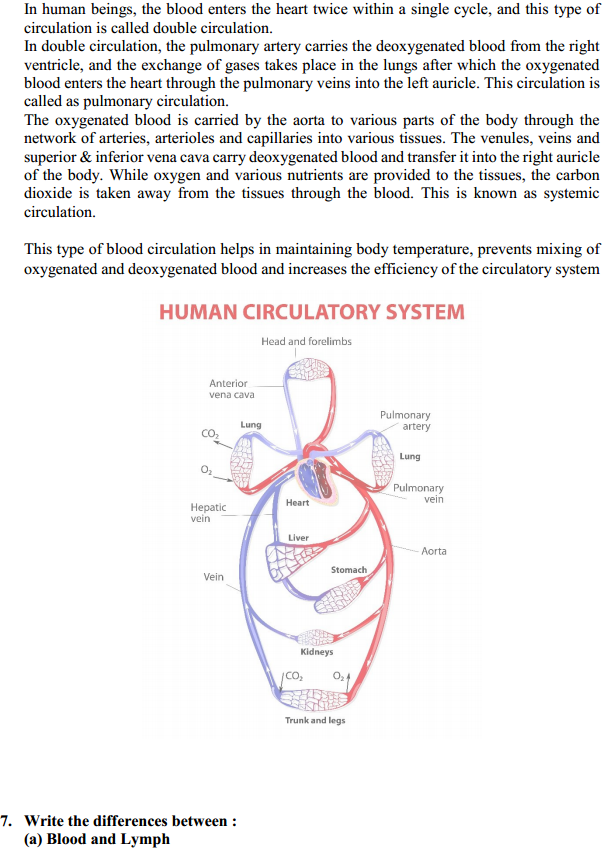 HBSE 11th Class Biology Solutions Chapter 18 Body Fluids and Circulation 3