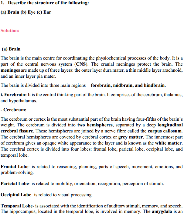 HBSE 11th Class Biology Solutions Chapter 21 Neural control and co-ordination 1