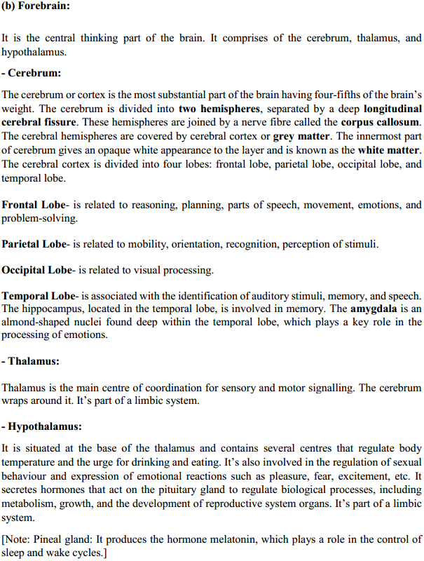 HBSE 11th Class Biology Solutions Chapter 21 Neural control and co-ordination 20