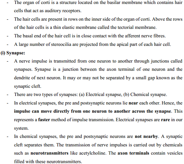 HBSE 11th Class Biology Solutions Chapter 21 Neural control and co-ordination 23