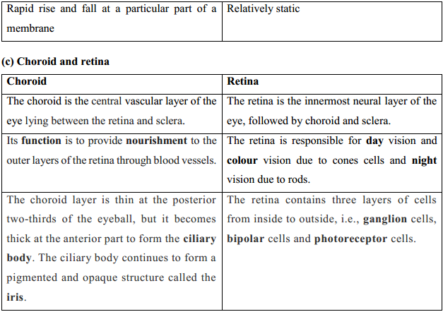 HBSE 11th Class Biology Solutions Chapter 21 Neural control and co-ordination 9