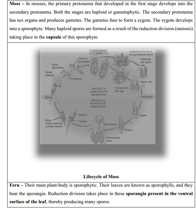HBSE 11th Class Biology Solutions Chapter 3 Plant Kingdom 3
