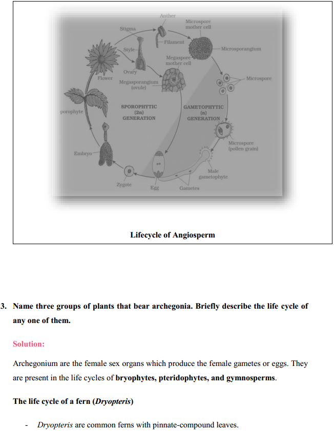 HBSE 11th Class Biology Solutions Chapter 3 Plant Kingdom 6