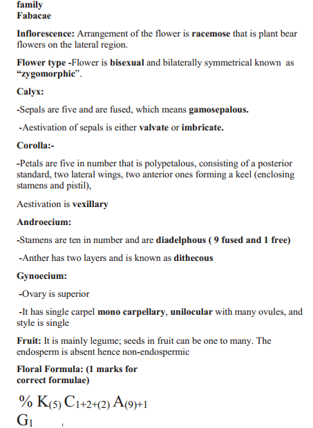 HBSE 11th Class Biology Solutions Chapter 5 Morphology of Flowering Plants 12