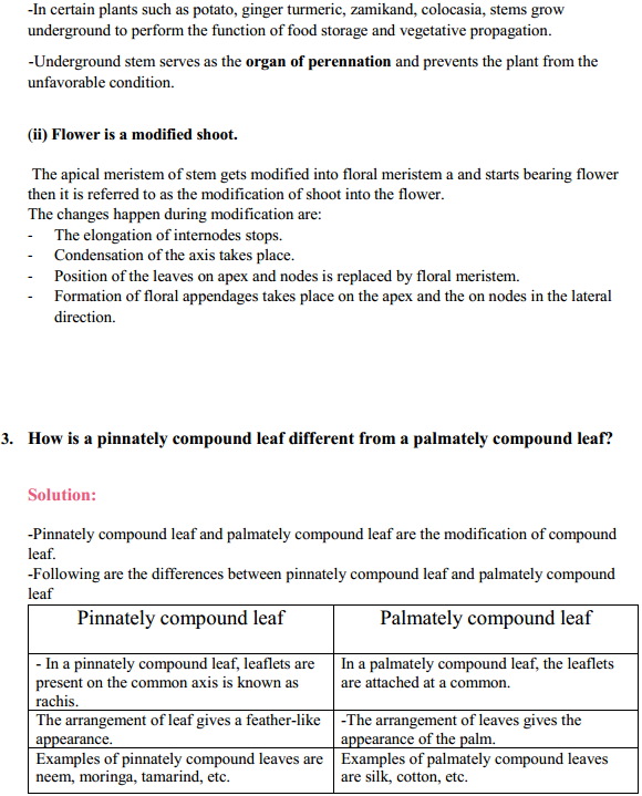 HBSE 11th Class Biology Solutions Chapter 5 Morphology of Flowering Plants 2