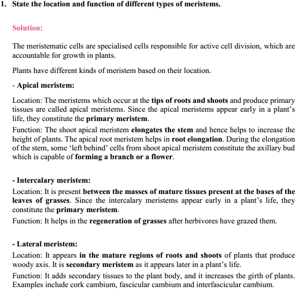 HBSE 11th Class Biology Solutions Chapter 6 Anatomy of Flowering Plants 1