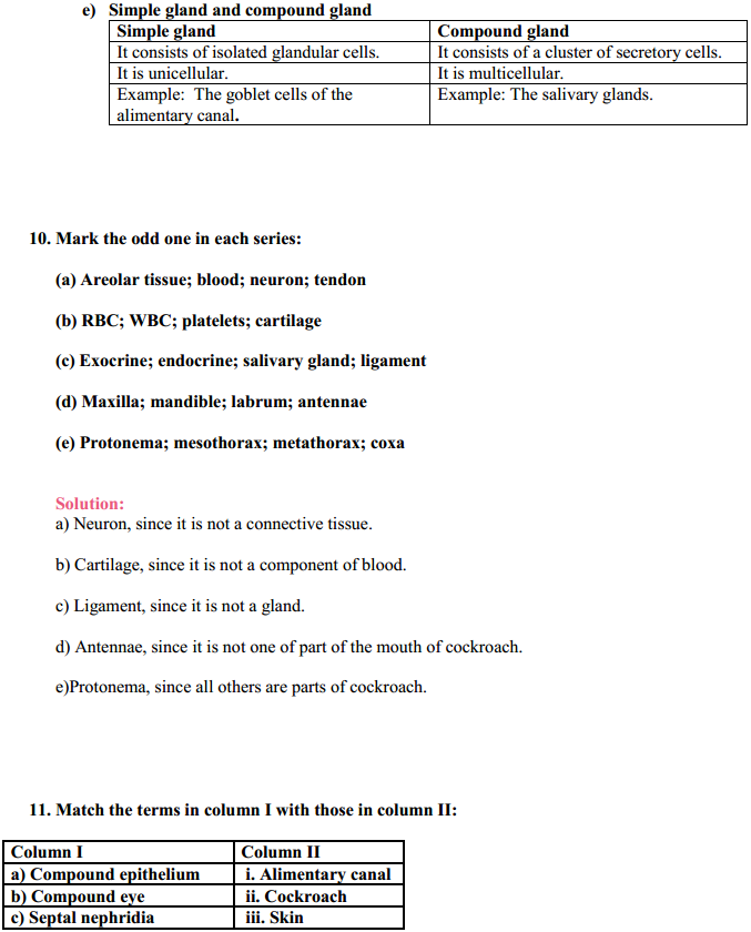 HBSE 11th Class Biology Solutions Chapter 7 Structural Organization in Animals 9