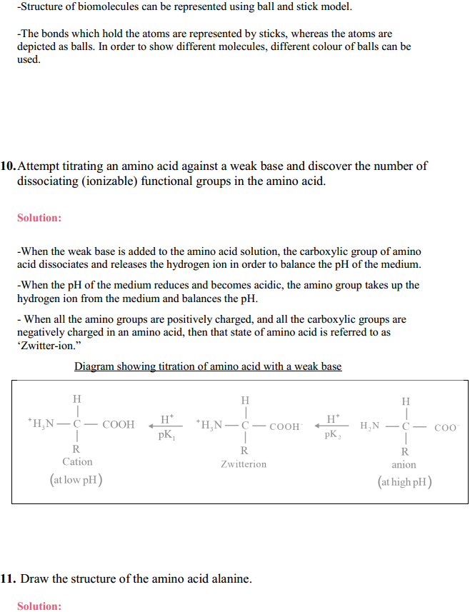 HBSE 11th Class Biology Solutions Chapter 9 Bio-molecules 10