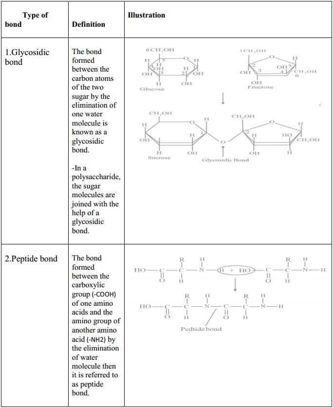 HBSE 11th Class Biology Solutions Chapter 9 Bio-molecules 2
