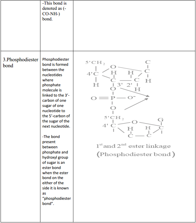HBSE 11th Class Biology Solutions Chapter 9 Bio-molecules 3