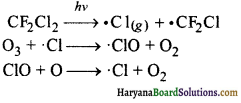 HBSE 11th Class Chemistry Solutions Chapter 14 Img 3
