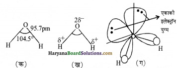 HBSE 11th Class Chemistry Solutions Chapter 9 Img 12