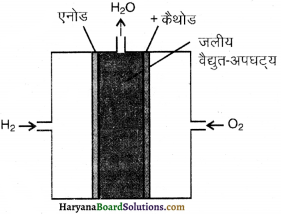 HBSE 11th Class Chemistry Solutions Chapter 9 Img 30