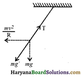 HBSE 11th Class Physics Solutions Chapter 14 दोलन - 13