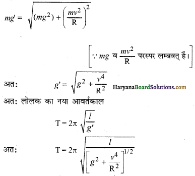 HBSE 11th Class Physics Solutions Chapter 14 दोलन - 14
