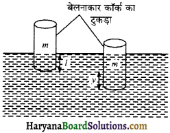 HBSE 11th Class Physics Solutions Chapter 14 दोलन - 15