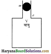 HBSE 11th Class Physics Solutions Chapter 14 दोलन - 19