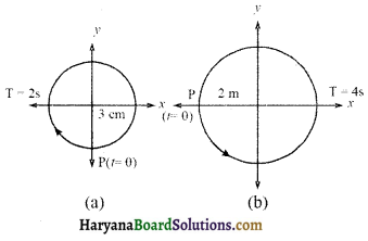 HBSE 11th Class Physics Solutions Chapter 14 दोलन - 4