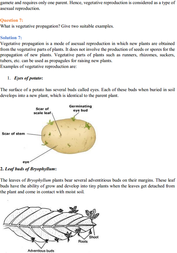 HBSE 12th Class Biology Solutions Chapter 1 Reproduction in Organisms 3