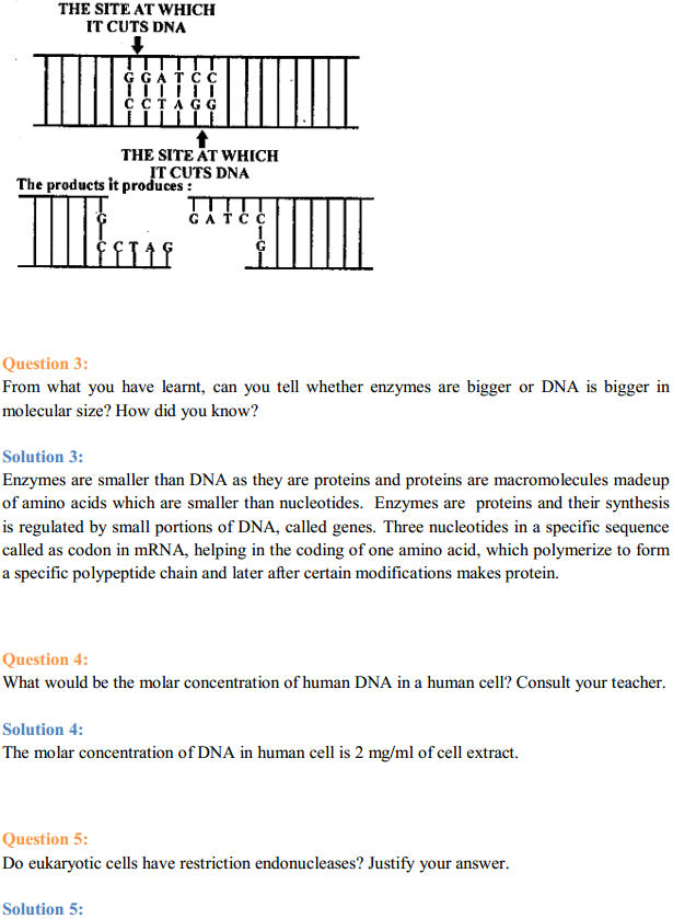 HBSE 12th Class Biology Solutions Chapter 11 Biotechnology Principles and Processes 2