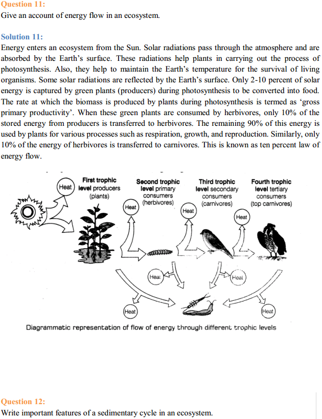 HBSE 12th Class Biology Solutions Chapter 14 Ecosystem 8