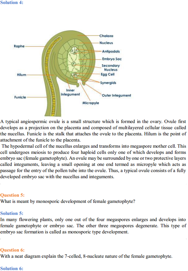 HBSE 12th Class Biology Solutions Chapter 2 Sexual Reproduction in Flowering Plants 2