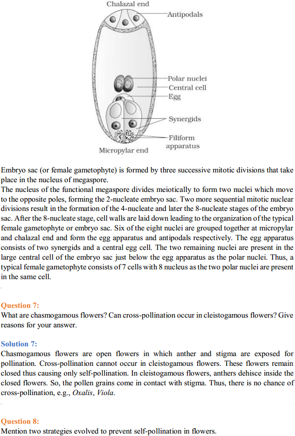 HBSE 12th Class Biology Solutions Chapter 2 Sexual Reproduction in Flowering Plants 3