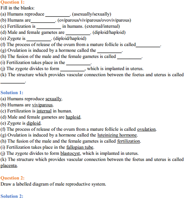 HBSE 12th Class Biology Solutions Chapter 3 Human Reproduction 1