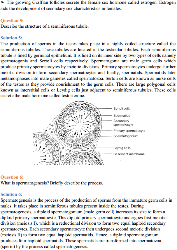 HBSE 12th Class Biology Solutions Chapter 3 Human Reproduction 4