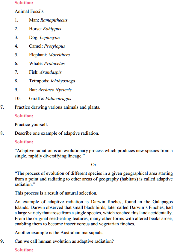HBSE 12th Class Biology Solutions Chapter 7 Evolution 4