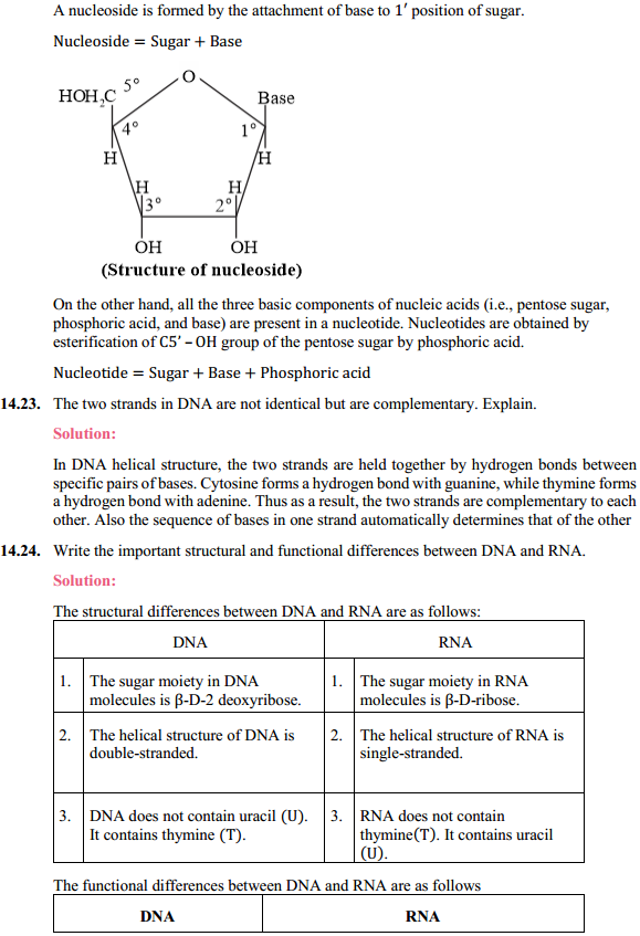 HBSE 12th Class Chemistry Solutions Chapter 14 Biomolecules 13