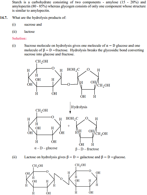 HBSE 12th Class Chemistry Solutions Chapter 14 Biomolecules 6