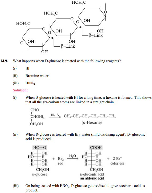 HBSE 12th Class Chemistry Solutions Chapter 14 Biomolecules 8