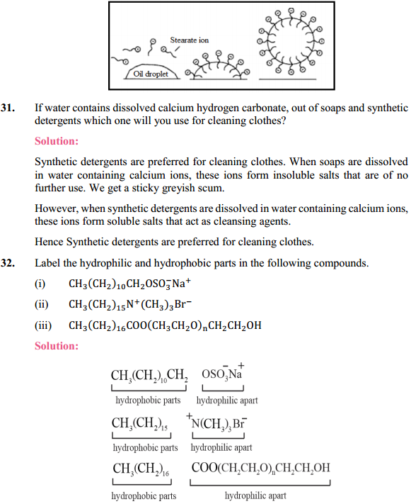 HBSE 12th Class Chemistry Solutions Chapter 16 Chemistry in Every Day Life 10