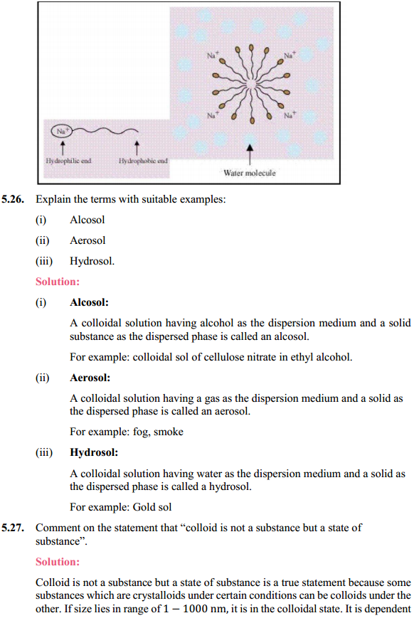 HBSE 12th Class Chemistry Solutions Chapter 5 Surface Chemistry 15