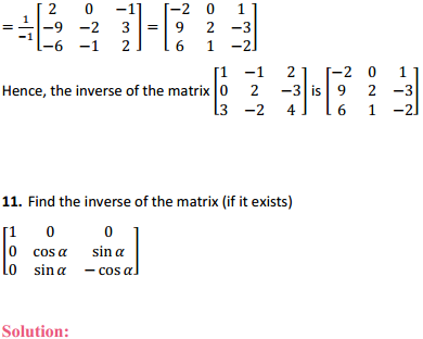 HBSE 12th Class Maths Solutions Chapter 4 Determinants Ex 4.5 10