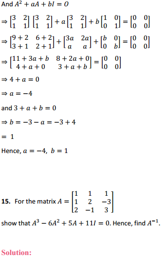 HBSE 12th Class Maths Solutions Chapter 4 Determinants Ex 4.5 15