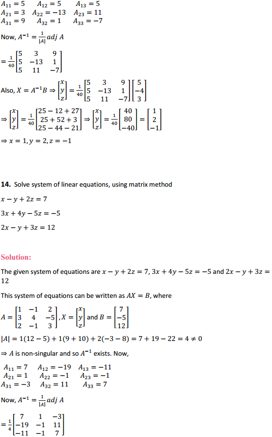 HBSE 12th Class Maths Solutions Chapter 4 Determinants Ex 4.6 13