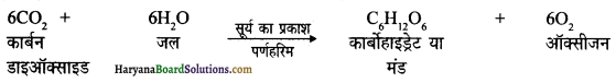 HBSE 12th Class Sociology Important Questions Chapter 14 प्राकृतिक सम्पदा 1