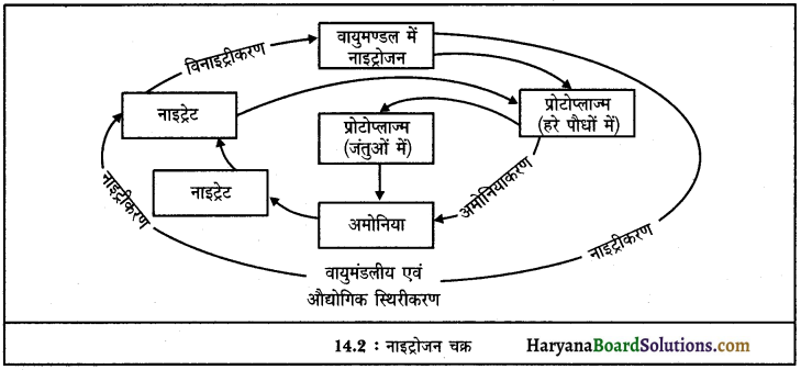 HBSE 12th Class Sociology Important Questions Chapter 14 प्राकृतिक सम्पदा 3