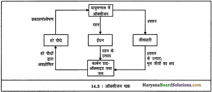 HBSE 12th Class Sociology Important Questions Chapter 14 प्राकृतिक सम्पदा 4