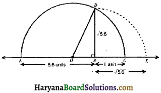 HBSE 9th Class Maths Important Questions Chapter 1 Number Systems - 10