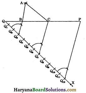 HBSE 9th Class Maths Important Questions Chapter 11 Constructions 14