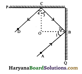 HBSE 9th Class Maths Important Questions Chapter 6 Lines and Angles - 33